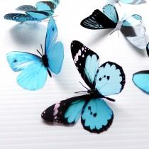 wedding photo - 12 x Mixed Aqua 3D Transparent Butterflies