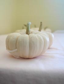 wedding photo - 15 Mini White Pumpkins for Table Decor for late Summer or Fall Weddings