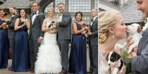 wedding photo - These Pit Bull Rescue Pups Are 100 Times Better Than Any Wedding Bouquet