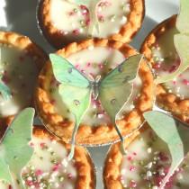 wedding photo - Edible Luna Moths Butterflies 3D - Wafer Paper Fantasy Wedding Cake Decorations Lime Green Fairy Actias Moth Birthday Cookie Cupcake Toppers