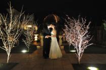wedding photo - Photography Considerations for Selecting a Wedding Venue