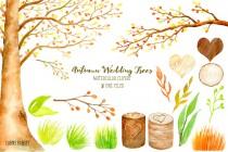 wedding photo - Wedding clipart - watercolor autumn beech tree, beech tree in fall color,  printable instant download