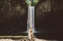wedding photo - Adventure-Inspired Elopement at a Waterfall