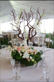 wedding photo - set of 12 20" manzanita branches 100% natural fresh trimmed for DIY wedding centerpieces