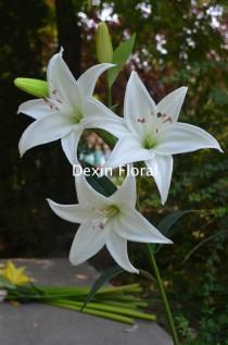 wedding photo - Natural Real Touch White Tiger Lily Long Stem for Wedding Bridal Bouquets, Centerpieces, Decorative Flowers