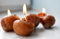 wedding photo - Christmas Gift - Snails Shell Candles Handmade Eco-friendly Candles - Set of 6  - Christmas Home Scents - Gift for Friend - Christmas Candle