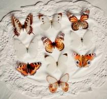wedding photo - Frosted Paper Butterfly decorations (box of 10) Brown and cream Mix