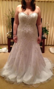 wedding photo - Plus Size Wedding Dresses And Bridal Gowns By Darius