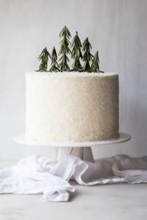 wedding photo - Winter Chocolate Peppermint Cake