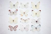 wedding photo - Hand cut silk butterfly hair clips with Swarovski Crystal Wedding Prom Bridesmaid Ethereal Garden Party - Pales  Pick and mix selection of 5