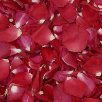 wedding photo - Valentine's Day Rose Petals. 100 cups Falling In Love Rose Petals. Wedding Petals. Proposal Petals.Valentine's Day Gift Idea. Rose Petals