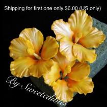 wedding photo - Gum Paste Hawaiian Hibiscus Cake Decorations Yellow Gumpaste