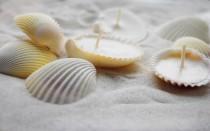 wedding photo - Eco-friendly Candles Scented Hand Made Seashells Candles - Set Of 36 units, Soy Wax Candles, Scented Candles Set - Beach Wedding Favor Decor