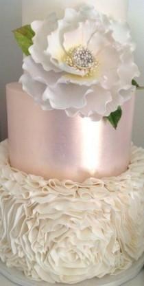 wedding photo - Silver Cake