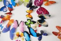 wedding photo - 3D Wall Butterflies- set of 20
