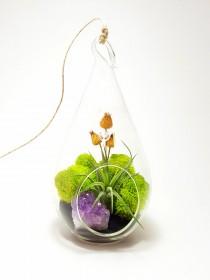 wedding photo - Air Plant Terrarium Kit with Purple Amethyst Crystal / Midnight Forest  / Teardrop, Round or Both / Free Shipping
