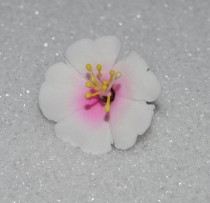 wedding photo - 10 Gumpaste Cherry Blossoms White or White w/ Pink (Flower Blossoms Sugar  Fondant Cake Cupcake Topper)
