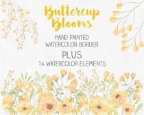 wedding photo - Watercolor border of hand painted buttercup blooms; watercolor clip art; wedding clip art; weddings; instant download