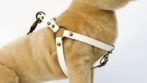 wedding photo - Dog Harness Step in Leather Harness adjustable harness Teacup breeds puppies chihuahua Strap Dog Harness vest dog harness  buckle dog collar