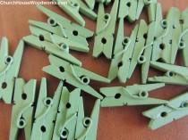wedding photo -  Pack of 100 Mini Light Green Clothespins