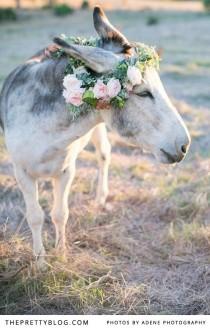 wedding photo - Pieter & Anneri's Whimsical Forest Shoot