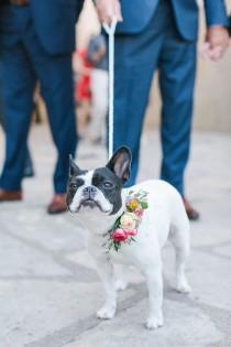 wedding photo - 24 Wedding Pups That Are Just As Cute As Any Flower Girl Or Ring Bearer