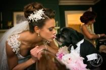 wedding photo - News ‹ Galia Lahav