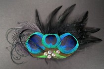 Gothic mini veil black feather headpieces peacock eye dark birdcage goth bird cage veil feathers hair pieces wedding photo - Gothic mini veil black feather headpieces peacock eye dark birdcage goth bird cage veil feathers hair pieces