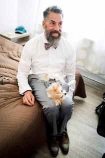 Three adorable and tiny wedding party dogs! wedding photo - Three adorable and tiny wedding party dogs!
