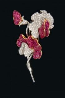 Gems & Jewelry wedding photo - Gems & Jewelry