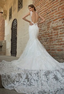 Wedding Dresses wedding photo - Wedding Dresses
