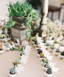 Succulent & Artichoke Weddings Centerpieces wedding photo - Succulent & Artichoke Weddings Centerpieces