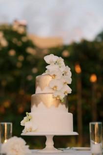 Wedding Cakes wedding photo - Wedding Cakes