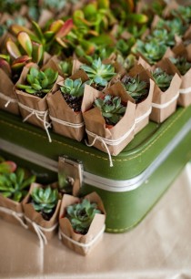105 Creative Succulent Wedding Decor Ideas wedding photo - 105 Creative Succulent Wedding Decor Ideas