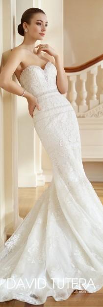 Wedding Dresses Fall 2017 wedding photo - Wedding Dresses Fall 2017