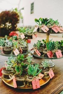 70 Eye-Popping Succulent Wedding Ideas wedding photo - 70 Eye-Popping Succulent Wedding Ideas