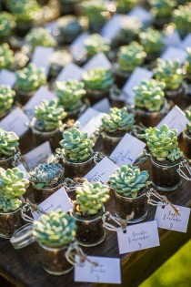 Wedding DIY With Whitney Port wedding photo - Wedding DIY With Whitney Port