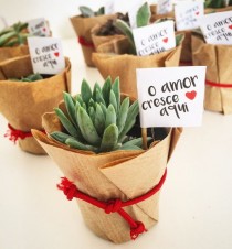 Lembrancinha Mini Suculenta Em Kraft wedding photo - Lembrancinha Mini Suculenta Em Kraft