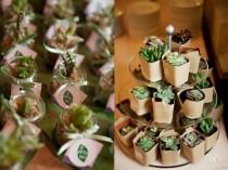 Lembrancinhas De Casamento: Suculentas wedding photo - Lembrancinhas De Casamento: Suculentas