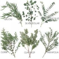Choose Your Own Eucalyptus Greenery Pack wedding photo - Choose Your Own Eucalyptus Greenery Pack