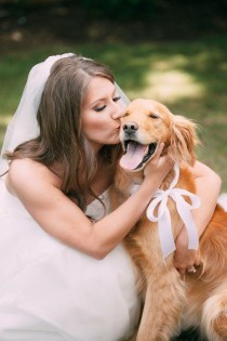 wedding photo - Wedding Pets