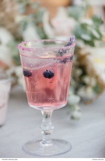 wedding photo - Cranberry Blush Gin Cocktail With Mosquito Rose Tonic Water