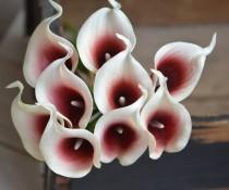 Burgundy Picasso Calla Lilies Dark Red Picasso Real Touch Flowers DIY Silk Wedding Bouquets, Centerpieces, Wedding Decorations wedding photo - Burgundy Picasso Calla Lilies Dark Red Picasso Real Touch Flowers DIY Silk Wedding Bouquets, Centerpieces, Wedding Decorations