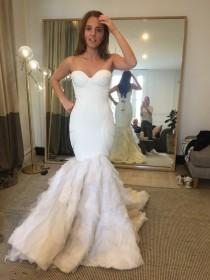 Dream Dress wedding photo - Dream Dress