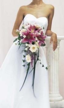 Wedding Ideas wedding photo - Wedding Ideas