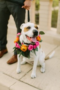 wedding photo - Cute Wedding Dog Idea - Wedding Dog With Floral Collar {RK Weddings & Events} 