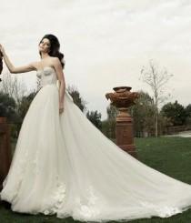 Wedding Dress wedding photo - Wedding Dress