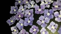 26 Edible HYDRANGEA Flowers / any color / Gum Paste / fondant /sugar flower / cake or cupcake decoration or toppers wedding photo - 26 Edible HYDRANGEA Flowers / any color / Gum Paste / fondant /sugar flower / cake or cupcake decoration or toppers