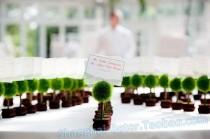 wedding photo -  #beterwedding DIY Green Escort Place Cards Marriage Décoration ZH017/A