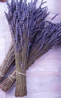 BEST VALUE Lavender 8.5 oz Dried Box 750 Stems in 3-4 bunches bundle 2018 Fragrant bouquets, crafts weddings Grosso English seller SALE wedding photo - BEST VALUE Lavender 8.5 oz Dried Box 750 Stems in 3-4 bunches bundle 2018 Fragrant bouquets, crafts weddings Grosso English seller SALE